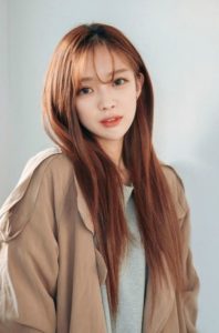 Korean hairstyles for Long hair